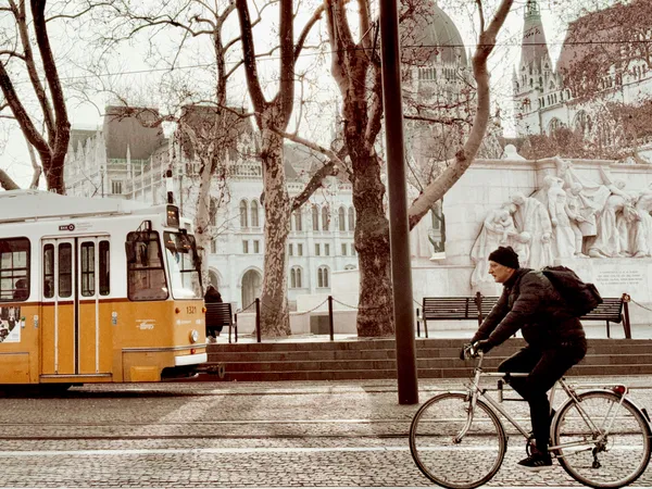 Man on bike meeting a tram thumbnail