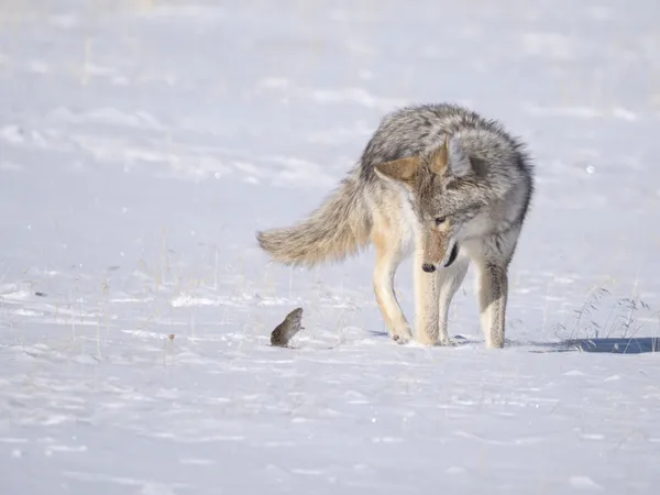 Against the Odds thumbnail