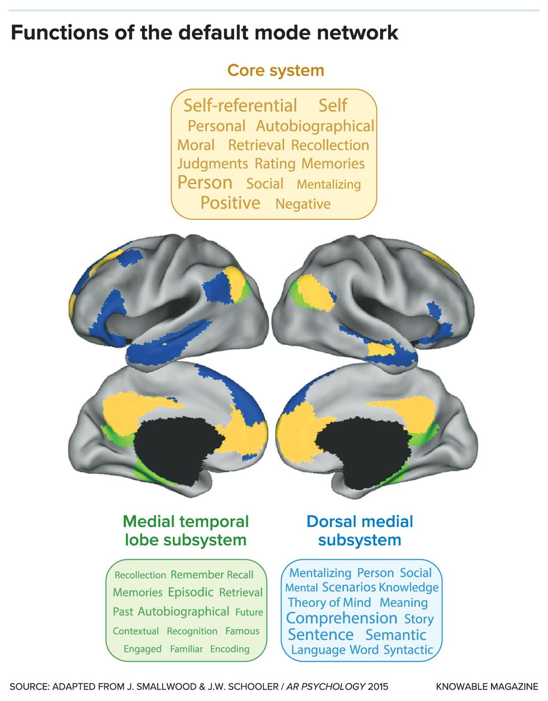 Default Mode Network Graphic