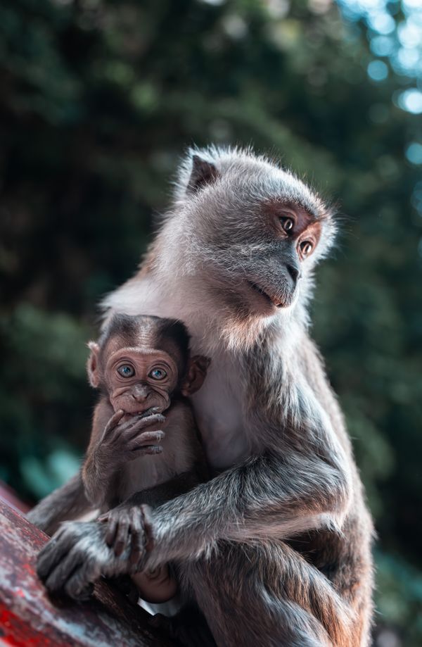 A Mother’s Quiet Watch thumbnail