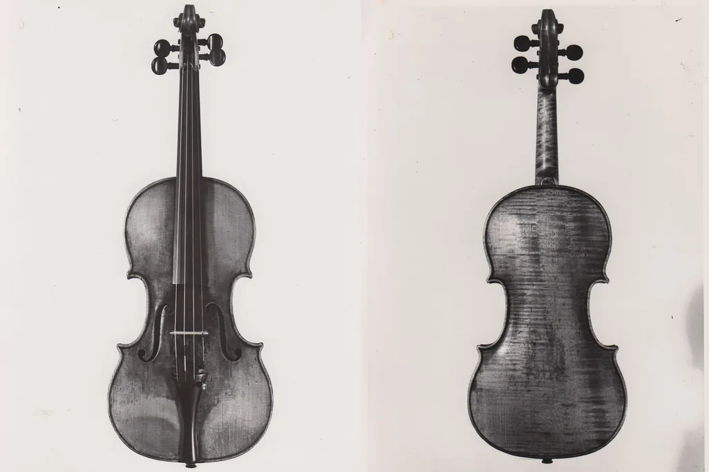Violin