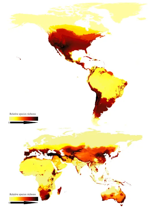 A map of global bee species richness with darker red zones indicating more diversity, and yellow zones indicating less diversity