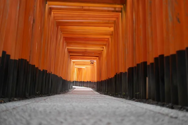 senbon torii sans personne thumbnail