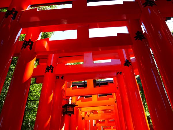 Torii thumbnail