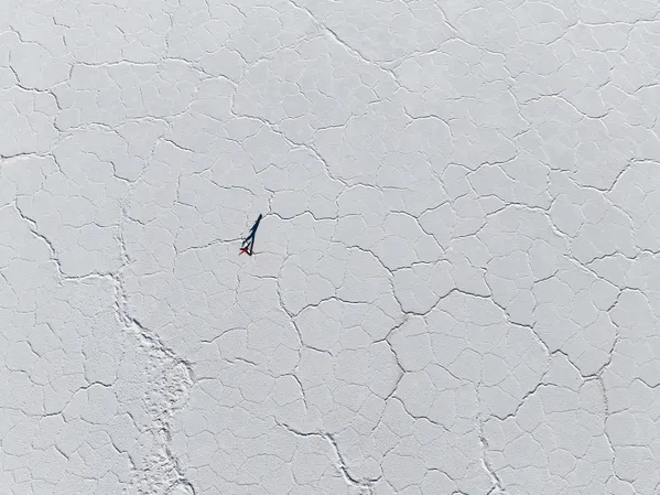 Salt Mosaic thumbnail