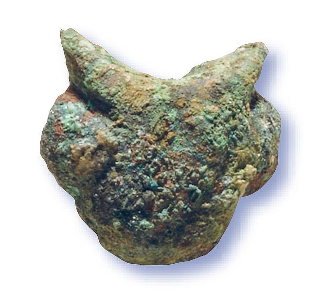 A button shaped like a wolf’s or feline’s head