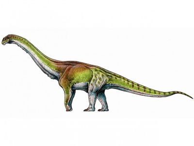 An artist's illustration of Patagotitan mayorum, the latest and possibly most gargantuan in a series of recent giant dino finds.