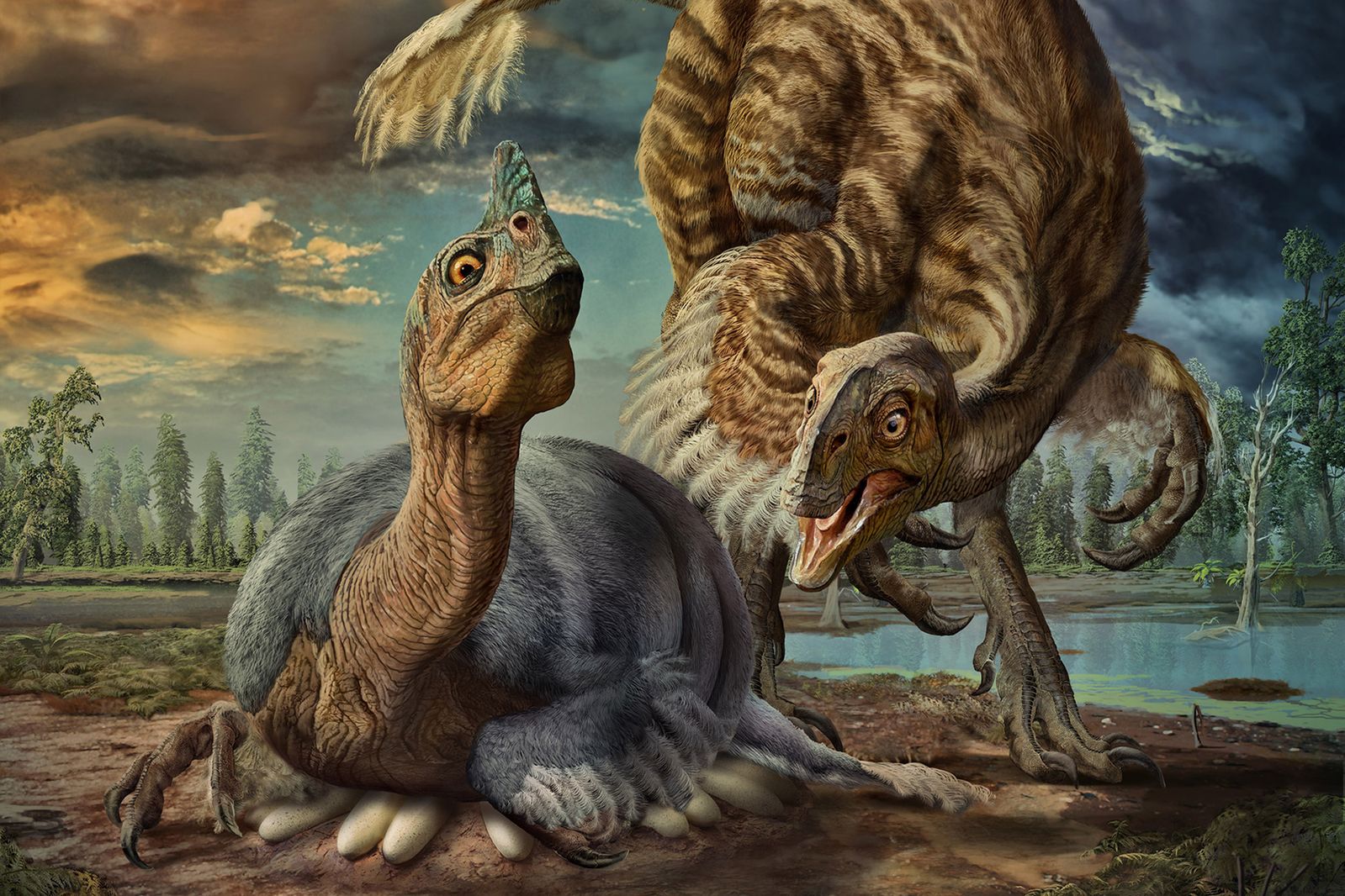 Achtervolging regen aanplakbiljet Infant Dinosaur Found Still Encased in Its Egg Identified as New Species |  Smart News| Smithsonian Magazine