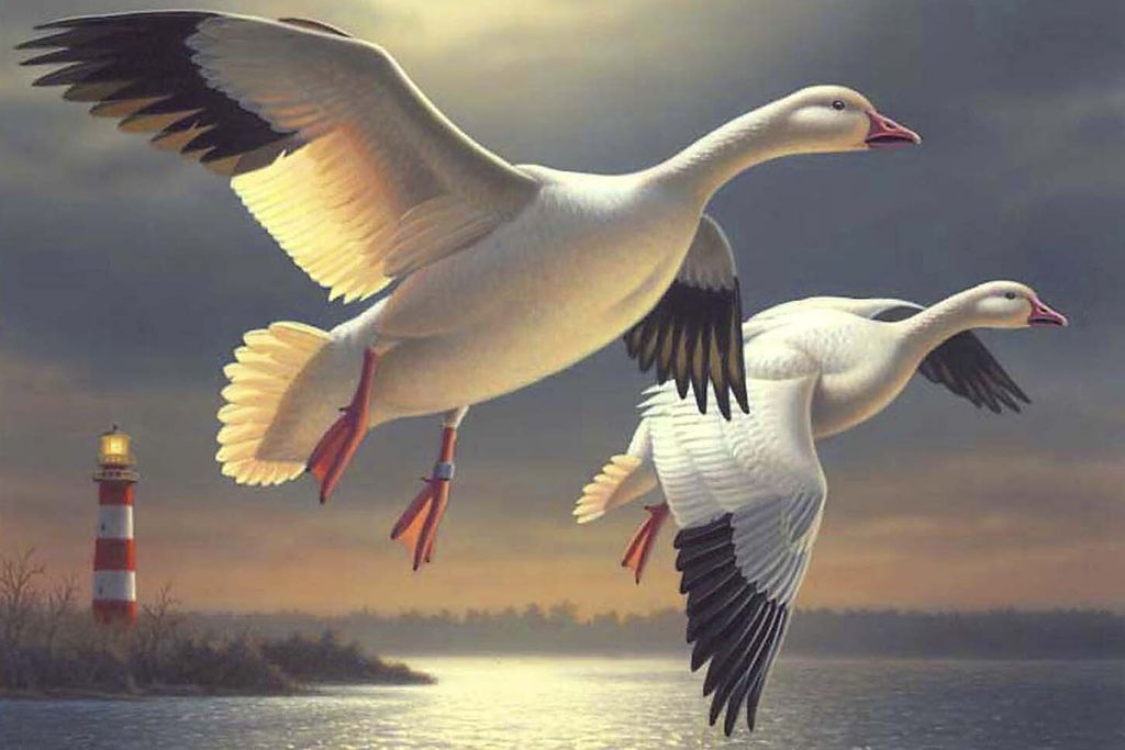 Painting of two large white birds with black win tips flying over water with a lighthouse in the background
