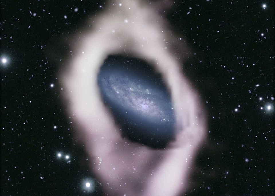 A blue main disk of a galaxy surrounded by a white ring of hydrogen gas.
