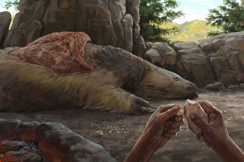 illustration in which hands grind rocks together in front of a carcass of a large mammal in a rocky mountainous area