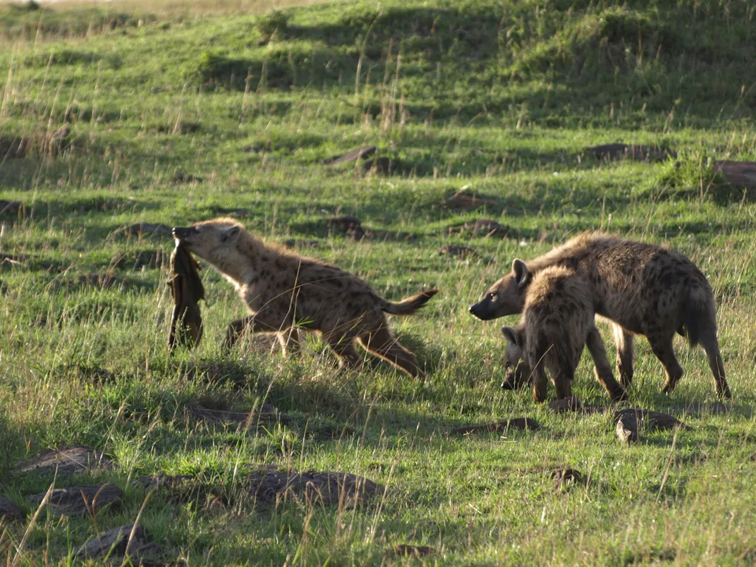 No, I Don’t Need a Flu Shot: I’m an Alpha Female