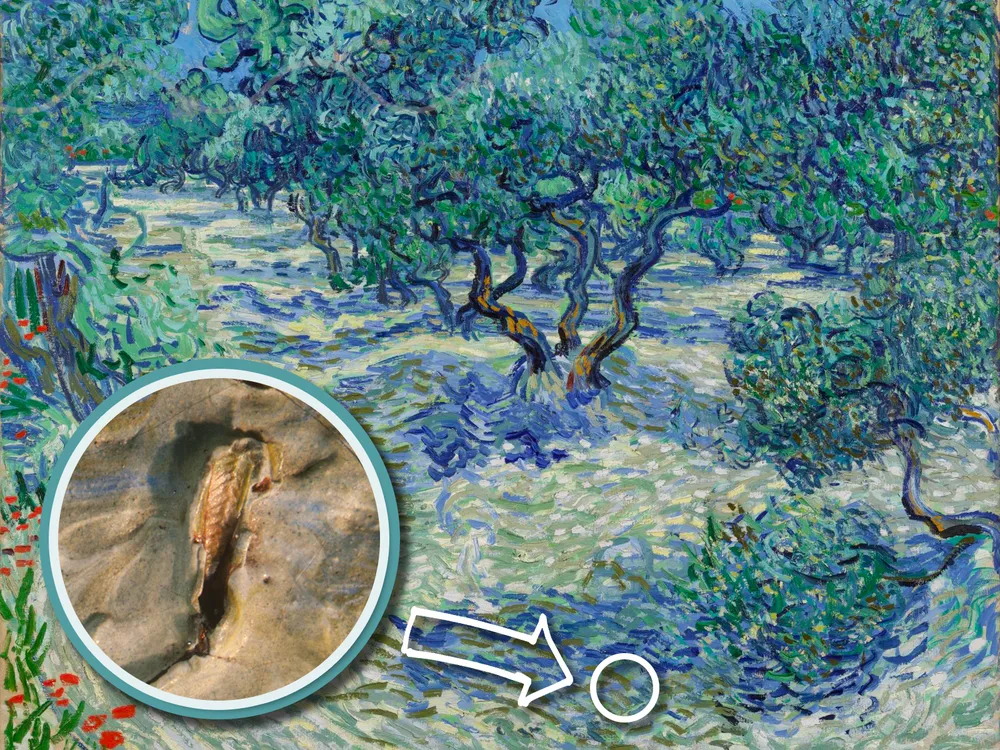 Grasshopper superimposed over van Gogh's "Olive Trees"