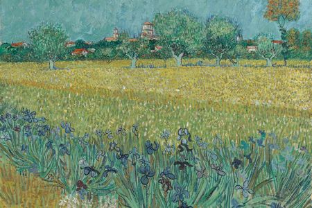 Vincent van Gogh, Field With Irises Near Arles, 1888