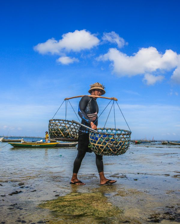 A seaweed farmer in Bali thumbnail