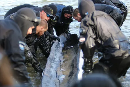 The boat most likely survived intact because it was constantly wet and shielded from sunlight at a depth of about 27 feet.