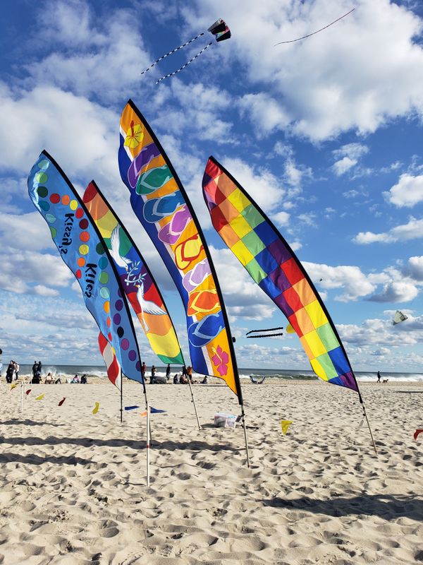 Kite festival flags on the beach thumbnail