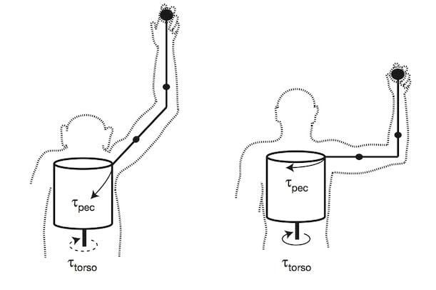 outward-facing shoulders