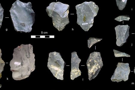 Several of the newly identified stone tools – unearthed from a museum collection.
