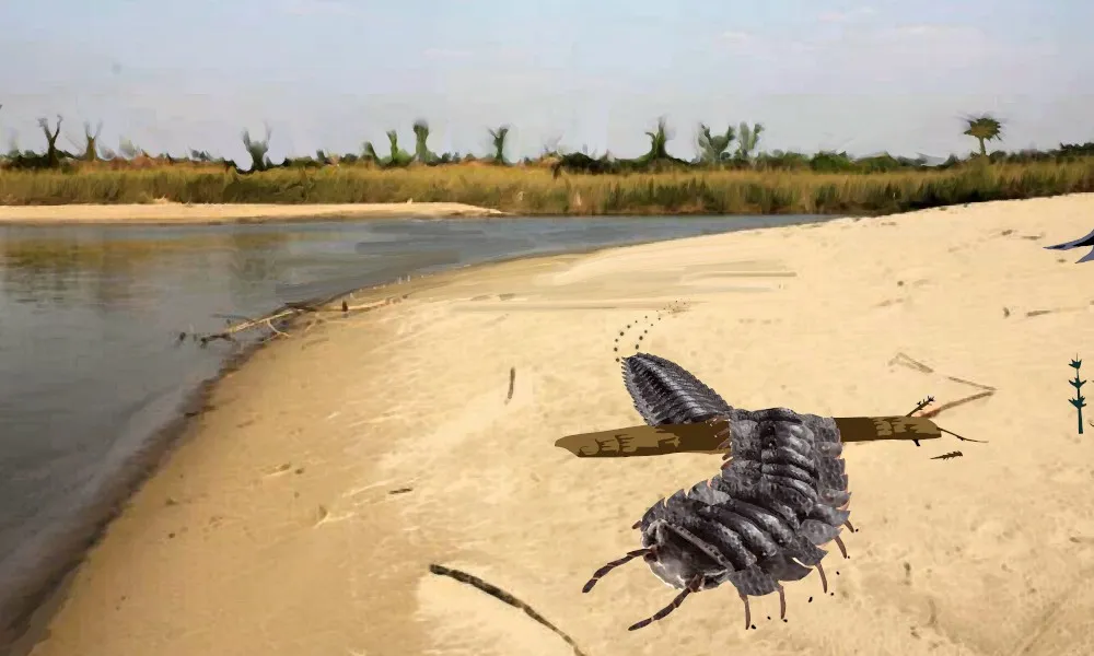 An illustration fo the millipede crawling on a sandy bank. It has black, segmented body resembling armor. It scuttles across the sand, with a river and vegetation around it.