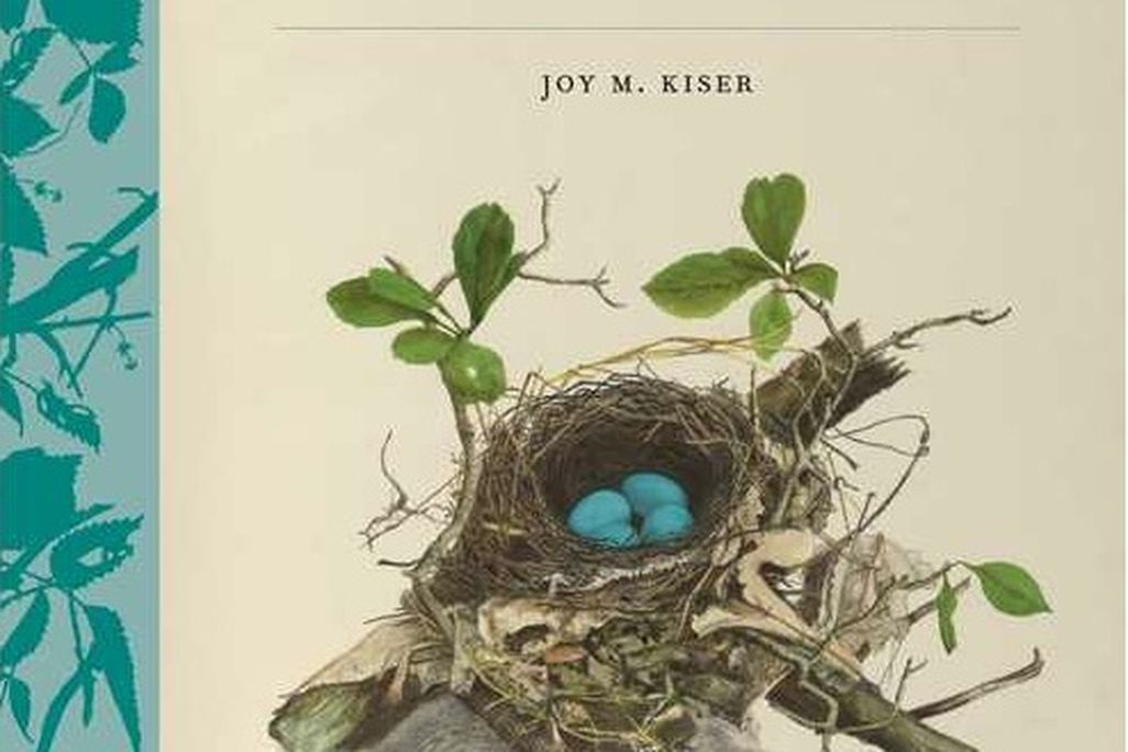 20120627121006book-cover.jpg