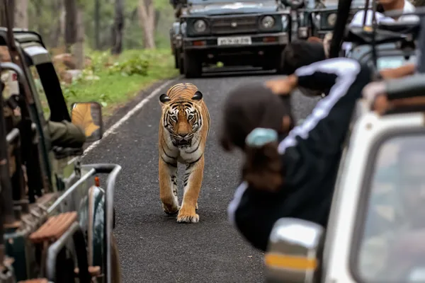 A Pause in Coexistence thumbnail