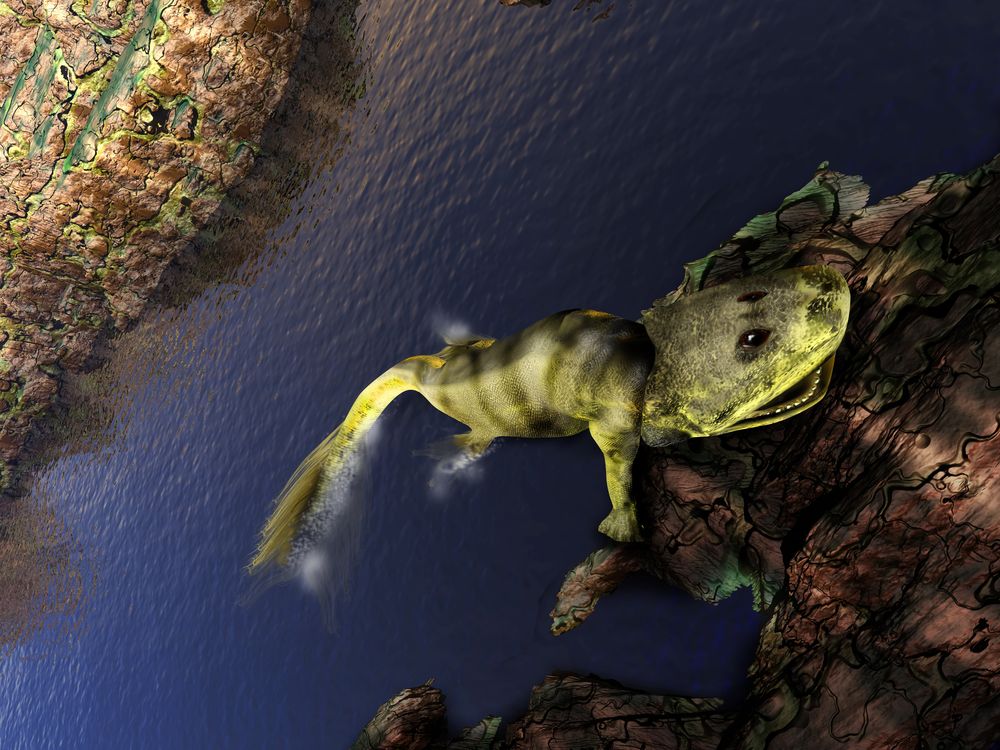 Did the Evolution of Animal Intelligence Begin With Tiktaalik?, Science