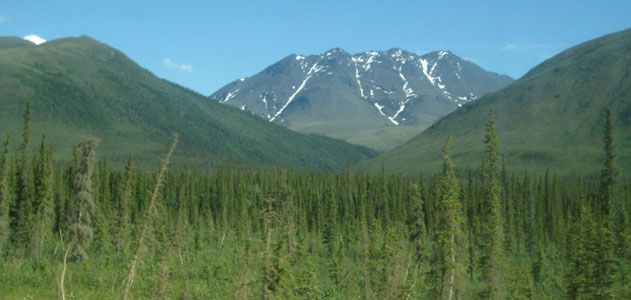 Toolik Field Station