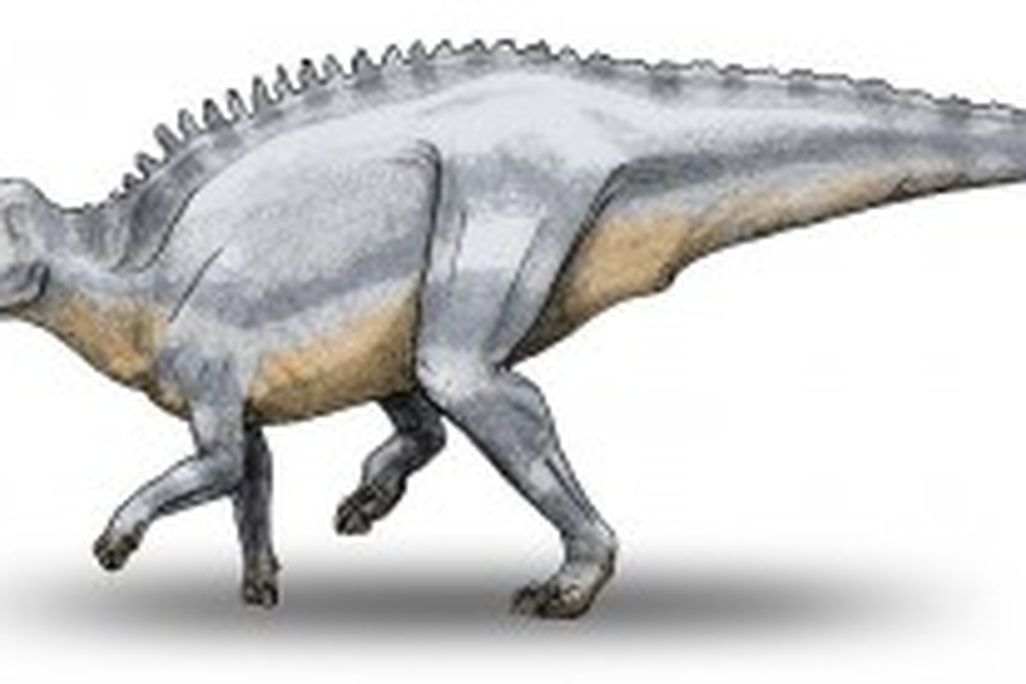 20110520083222Telmatosaurus-300x138.jpg