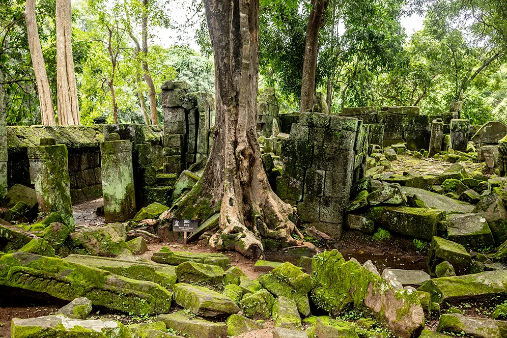 Prasat Thom at Koh Ker