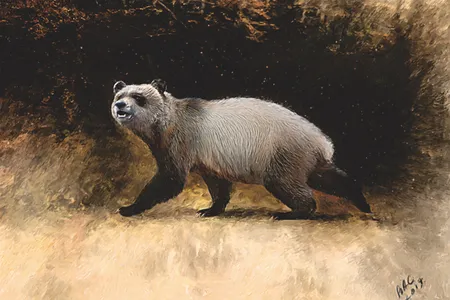 An illustration of A. nikolovi&nbsp;