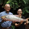 A Massive, Mysterious 'Ghost' Fish, Feared Extinct for Nearly 20 Years, Has Been Rediscovered in Cambodia icon