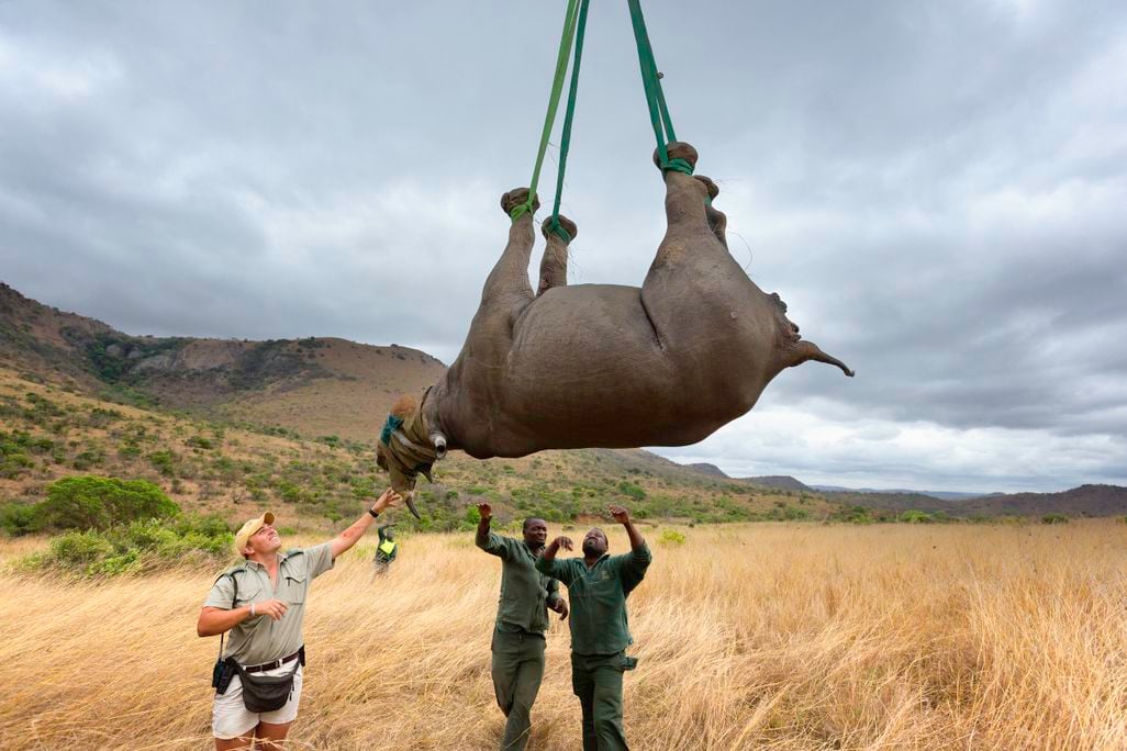 black Rhinos expansion project