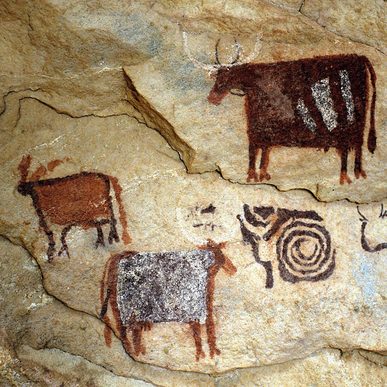 Vandals Deface Rock Art In Chad's Ennedi World Heritage Site