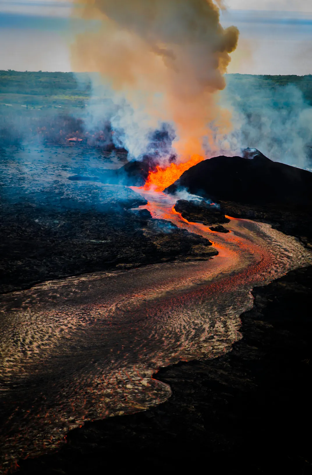 How Volcanoes Reshape Ecosystems