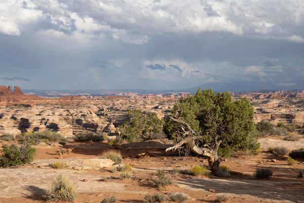 Distant thunderstorm and rainbow over The Maze in Utah's Canyonlands thumbnail