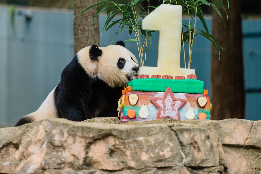 happy first birthday bei bei