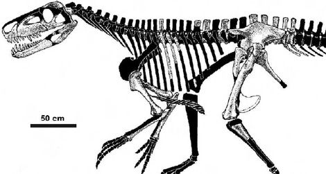 A skeletal restoration of Smok wawelski