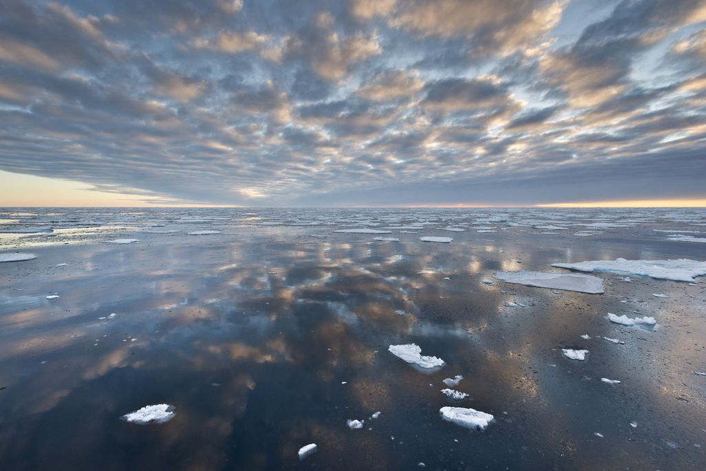 09_03_2014_arctic sea ice.jpg