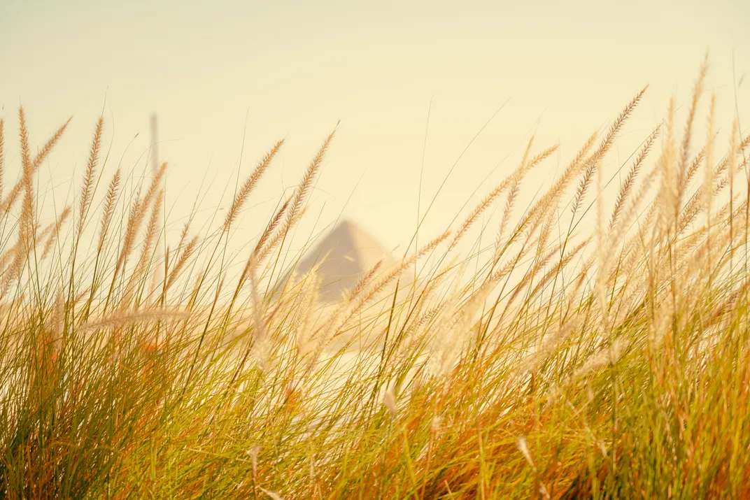 10 - Ancient Egypt is always shown with the pyramids and plentiful plots of wheat.