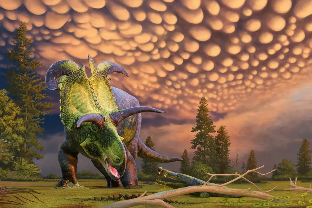 a drawing of a green dinosaur walking on four legs with purple horns curling outward from between its eyes and from the top of its head, which has a tall, plate-like frill