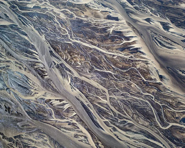 Veins No.3 thumbnail