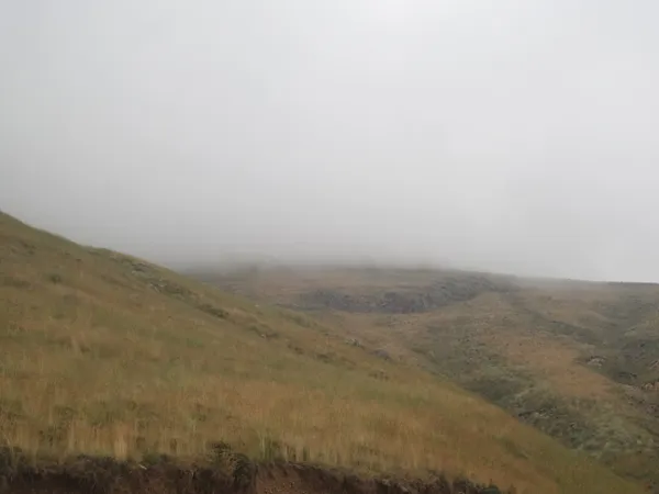 Deep in the Mist thumbnail