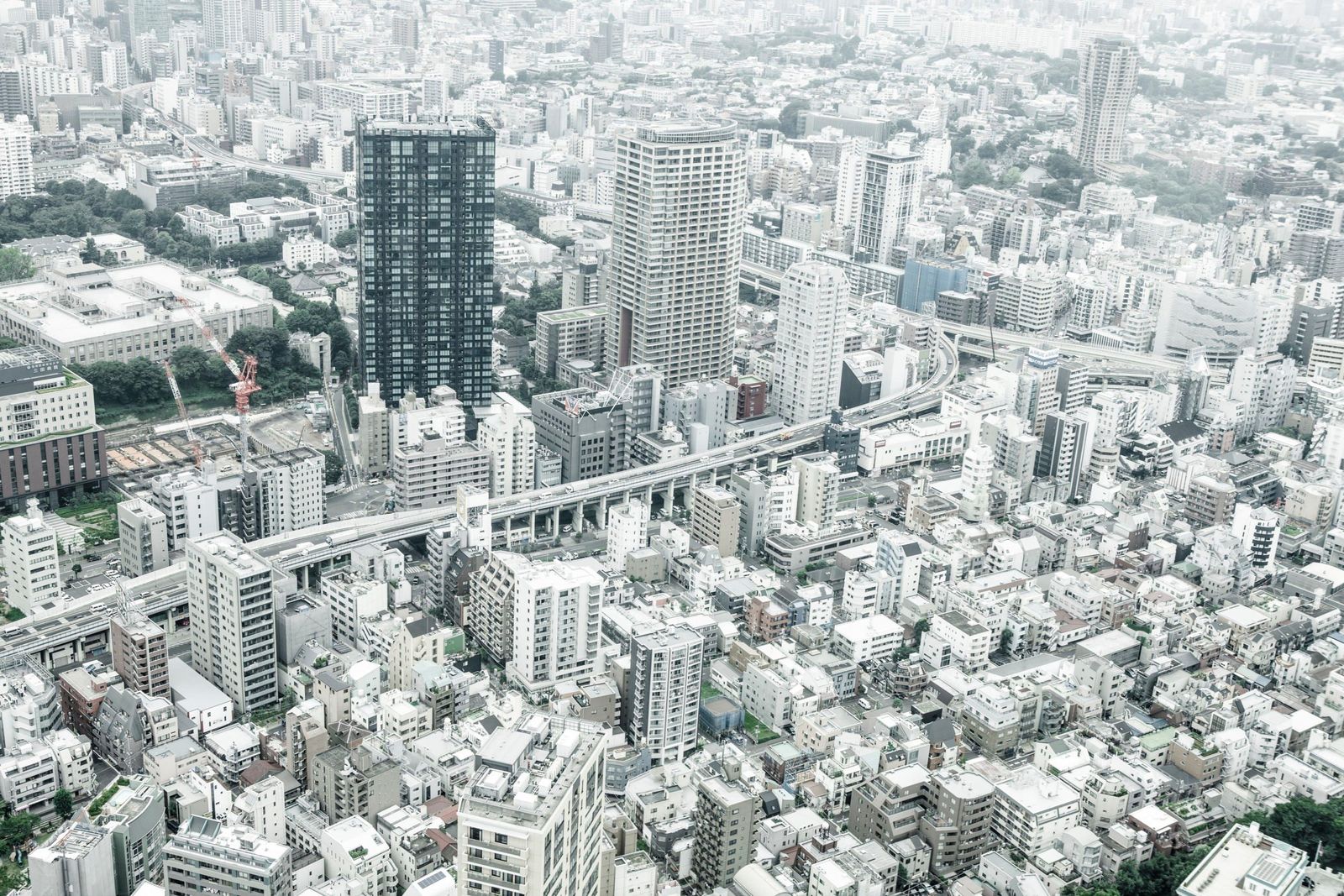 people and population - tokyo the mega city