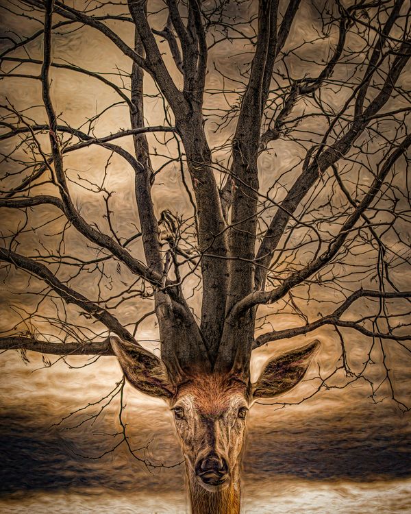 A deer with tree brancheds for antlers thumbnail