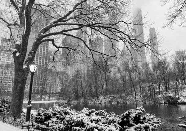 Central Park and New York City Skyline in the Snow thumbnail