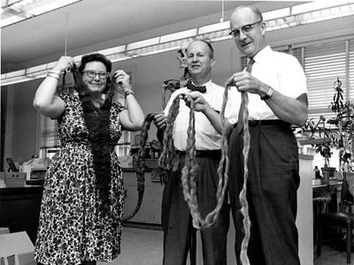National Museum of Natural History physical anthropologists Lucille St. Hoyme, J. Lawrence Angel and Thomas Dale Stewart hold Hans Langseth's beard upon its arrival to the Smithsonian in 1967.