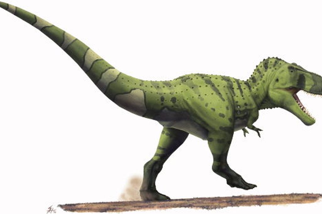 20110520083248hartman-tyrannosaurus.jpg