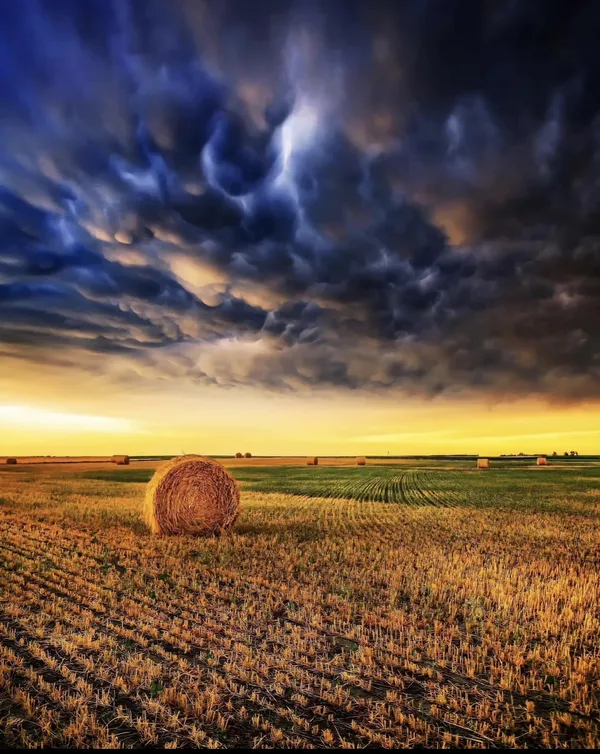 Mammatus Clouds and Golden Hour After A Severe Storm thumbnail