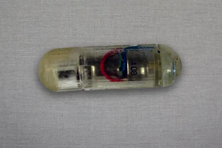The capsule has a gelatinous coating that dissolves in stomach acid.